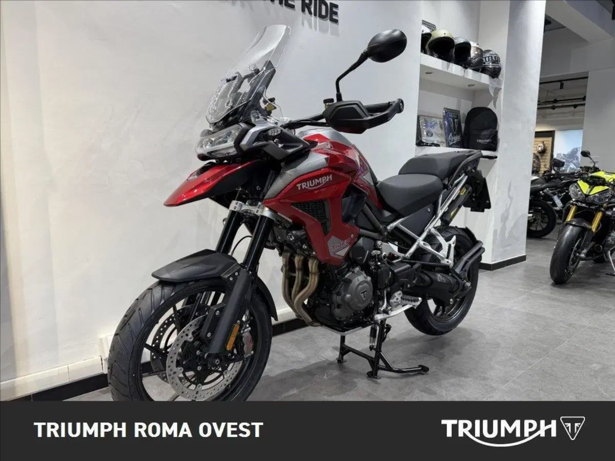 Triumph Tiger 1200 GT Pro (2024 - 26) (5)