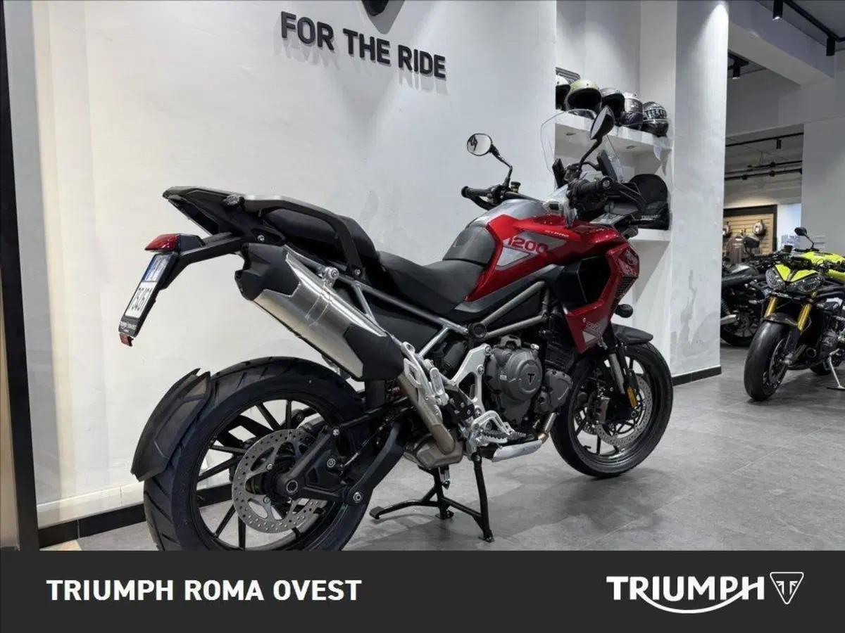 Triumph Tiger 1200 GT Pro (2024 - 26) (10)