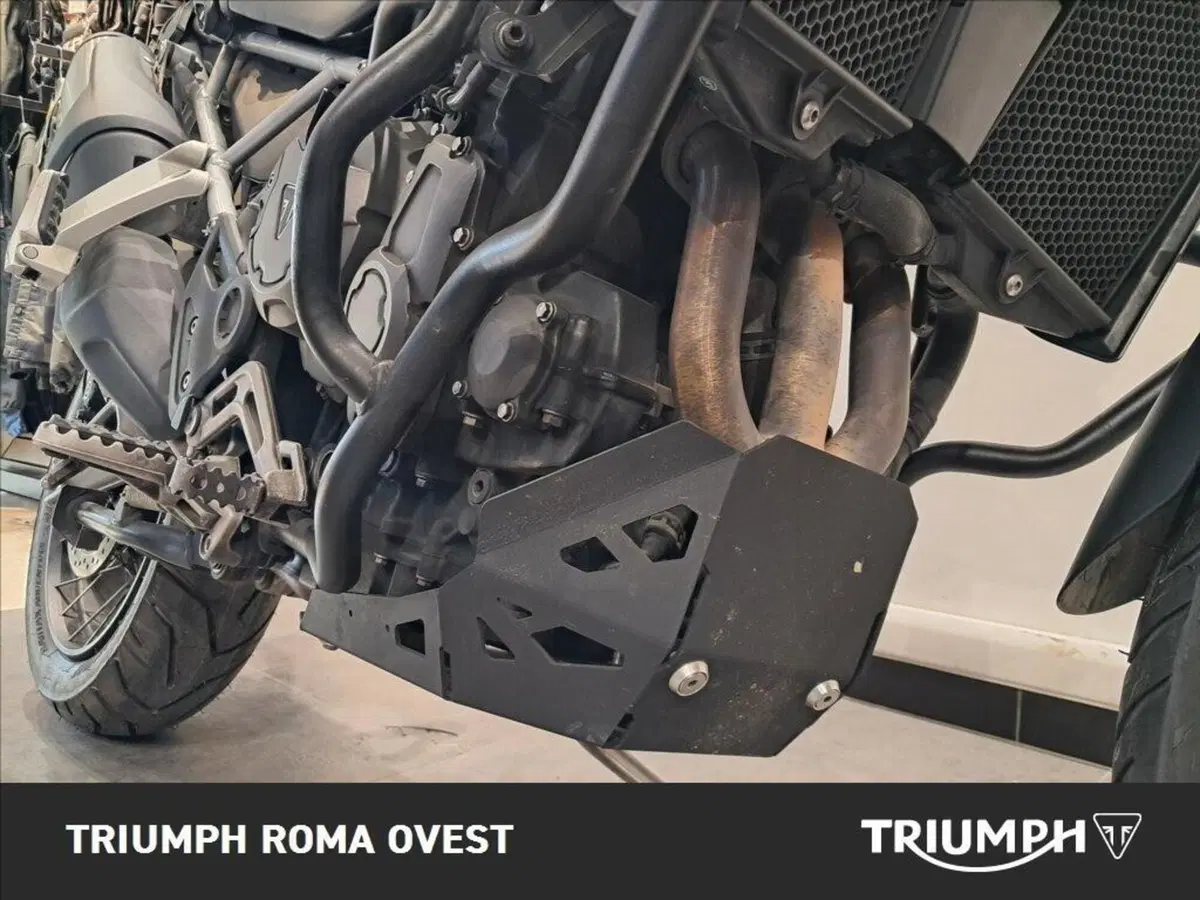 Triumph Tiger 900 Rally (2020 - 23) (7)