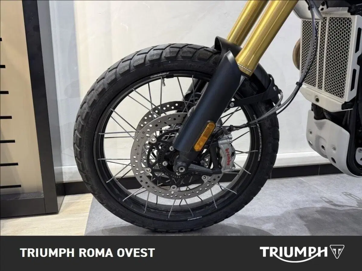Triumph Scrambler 1200 XE (2024 - 25) (10)