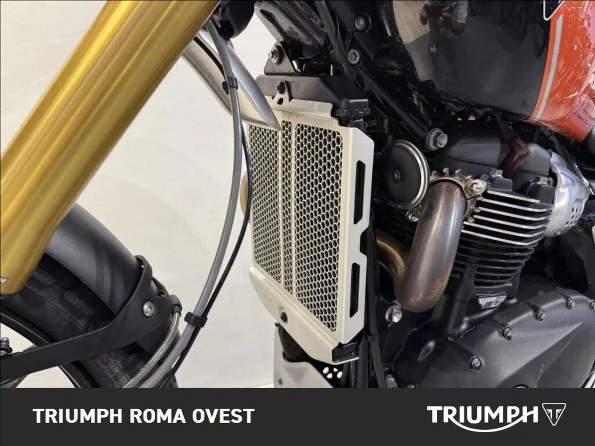 Triumph Scrambler 1200 XE (2024 - 25) (11)