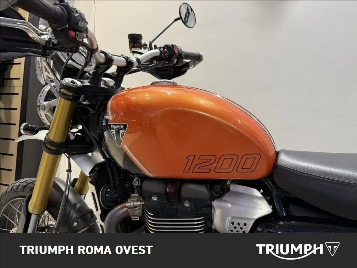 Triumph Scrambler 1200 XE (2024 - 25) (14)
