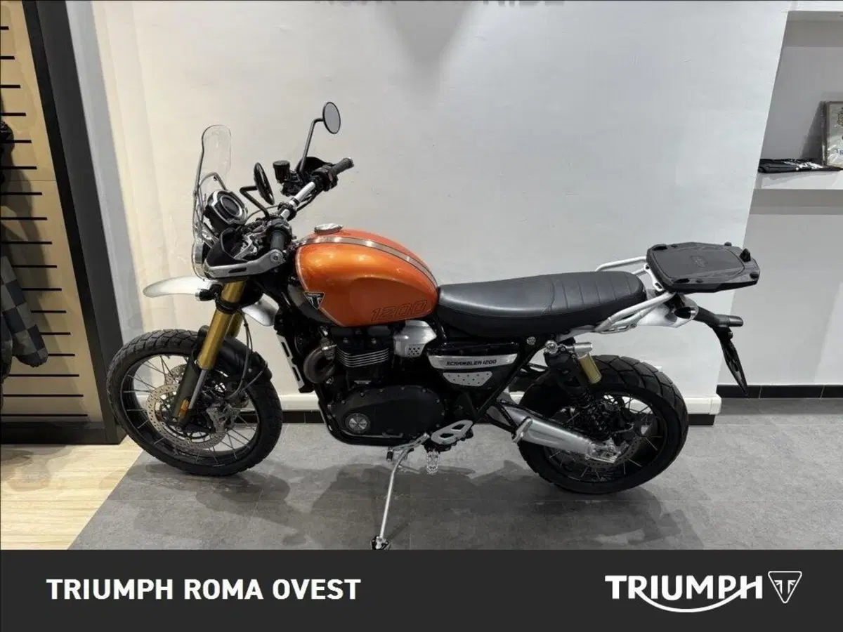 Triumph Scrambler 1200 XE (2024 - 25) (6)