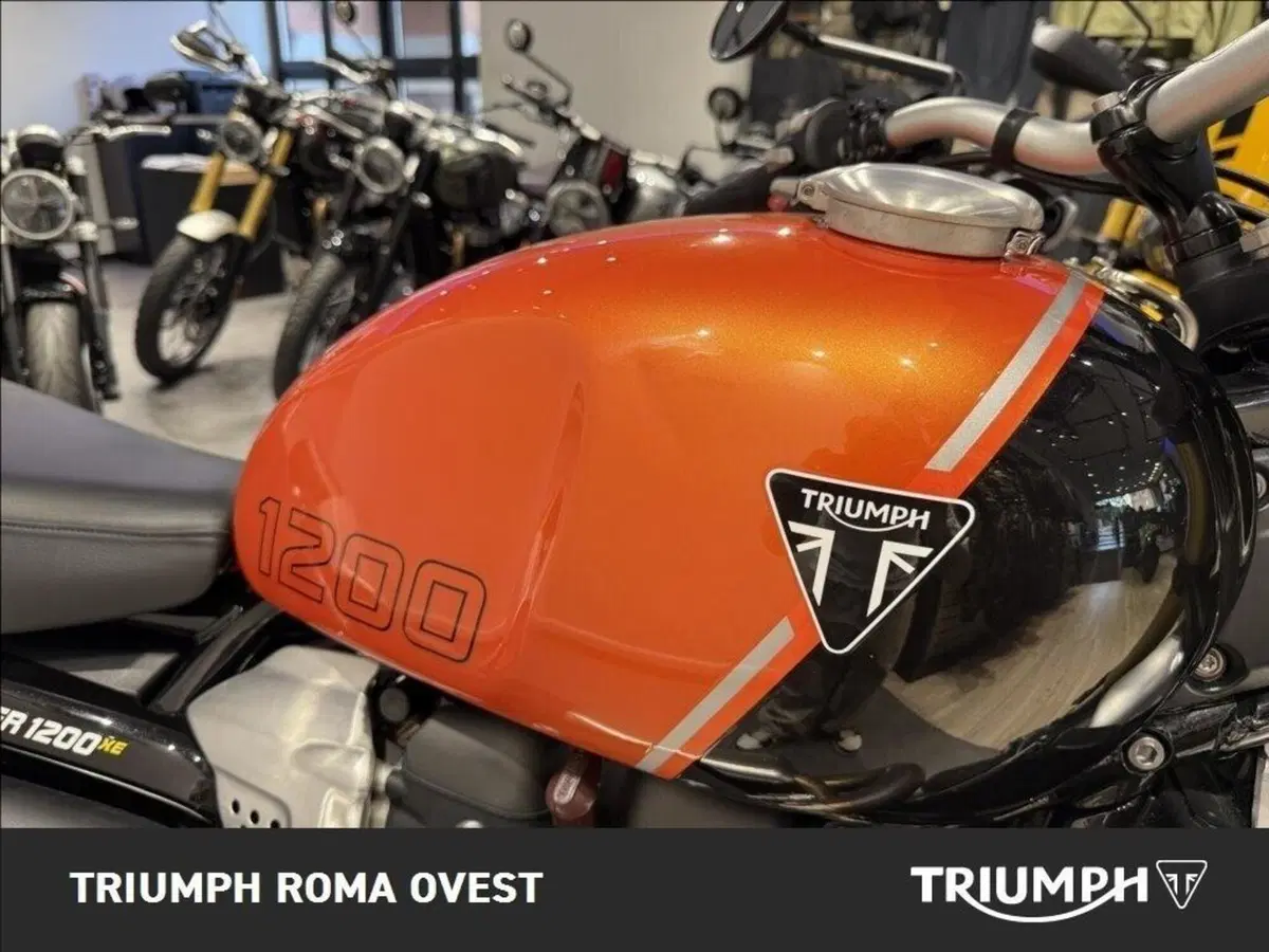 Triumph Scrambler 1200 XE (2024 - 25) (19)