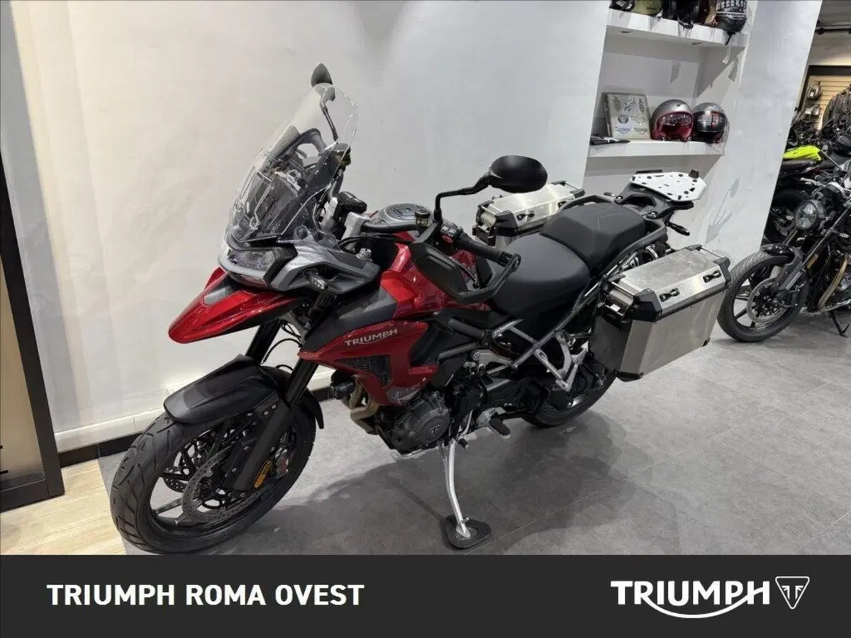 Triumph Tiger 1200 GT Pro (2024 - 26) (5)