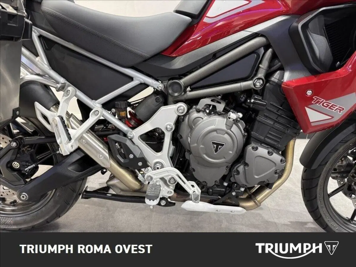 Triumph Tiger 1200 GT Pro (2024 - 26) (13)