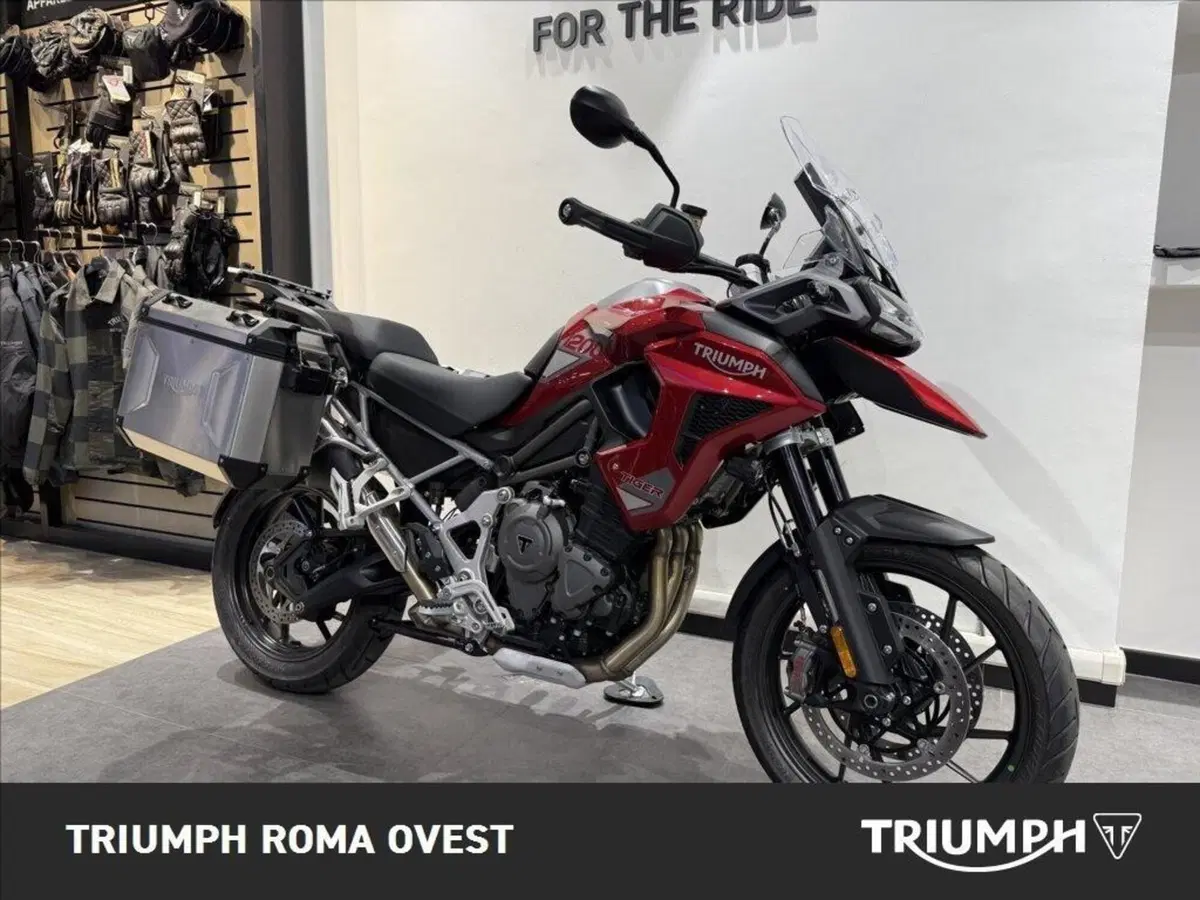 Triumph Tiger 1200 GT Pro (2024 - 26) (9)