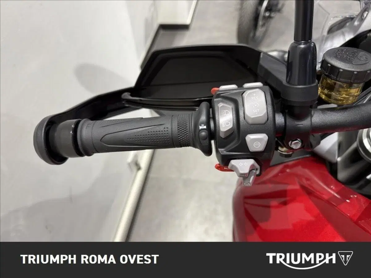 Triumph Tiger 1200 GT Pro (2024 - 26) (17)