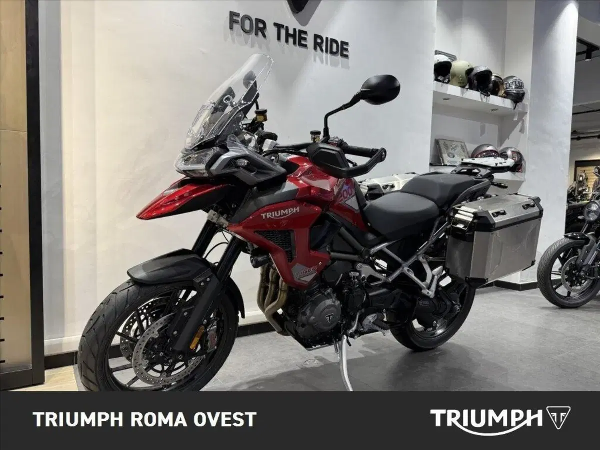 Triumph Tiger 1200 GT Pro (2024 - 26) (6)