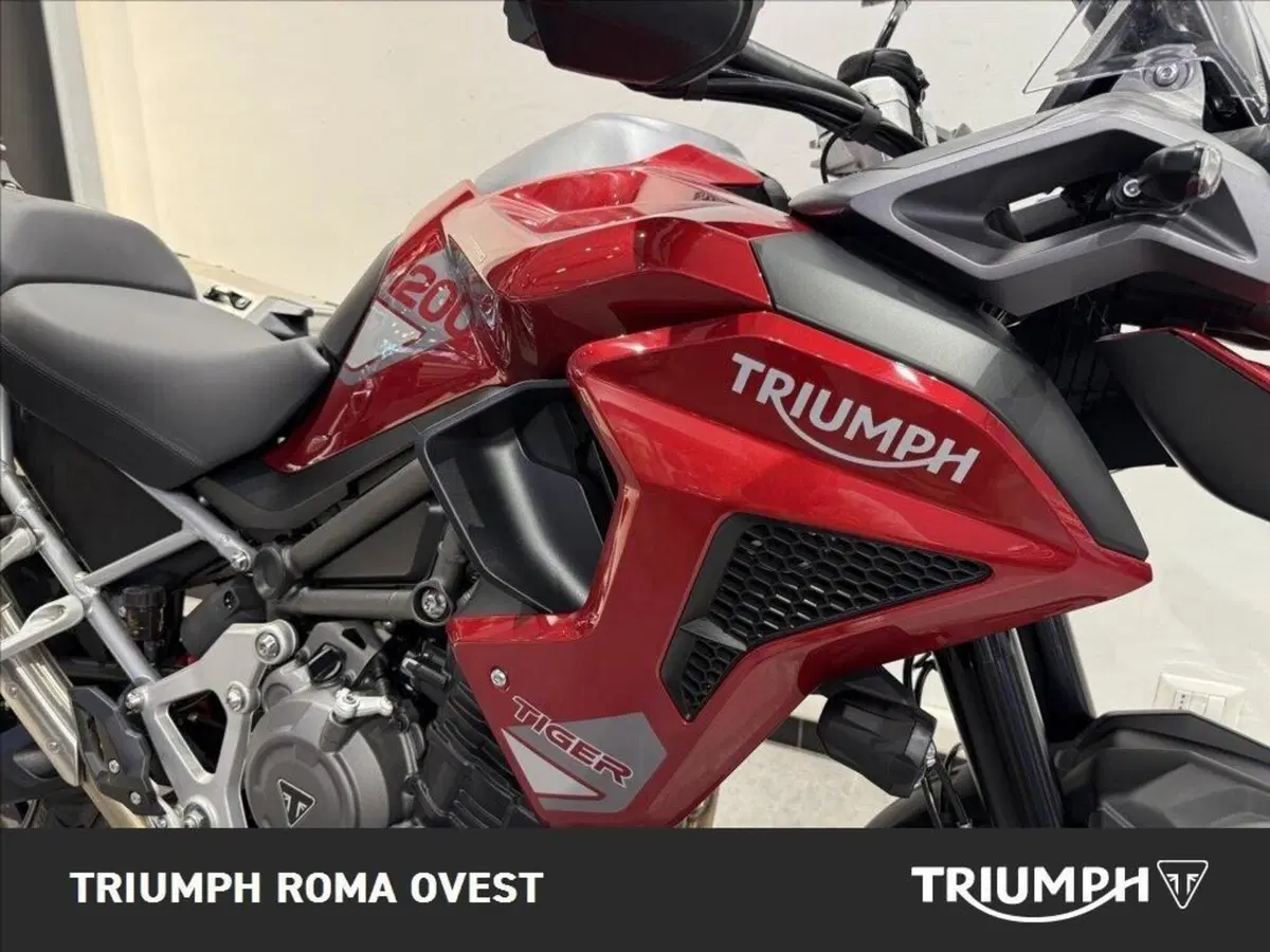 Triumph Tiger 1200 GT Pro (2024 - 26) (14)
