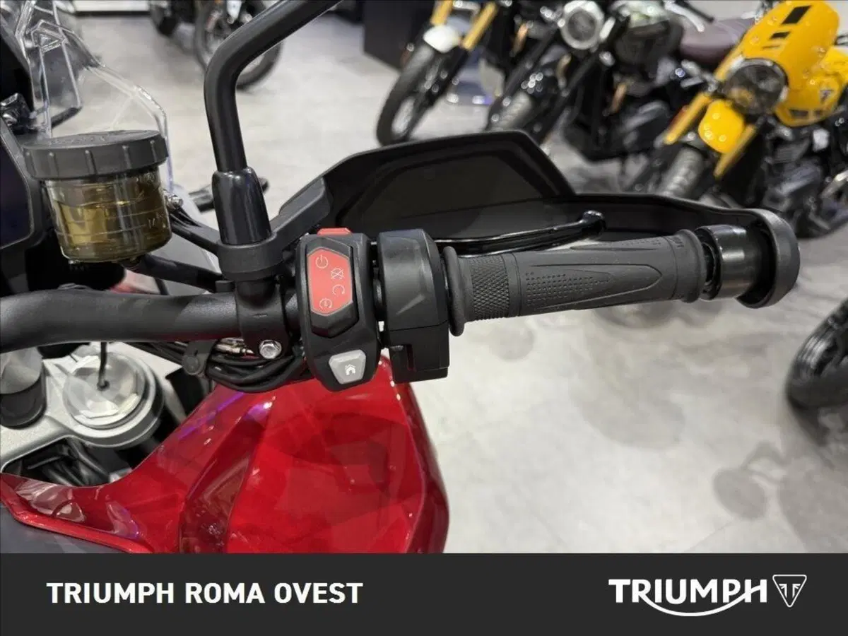 Triumph Tiger 1200 GT Pro (2024 - 26) (18)