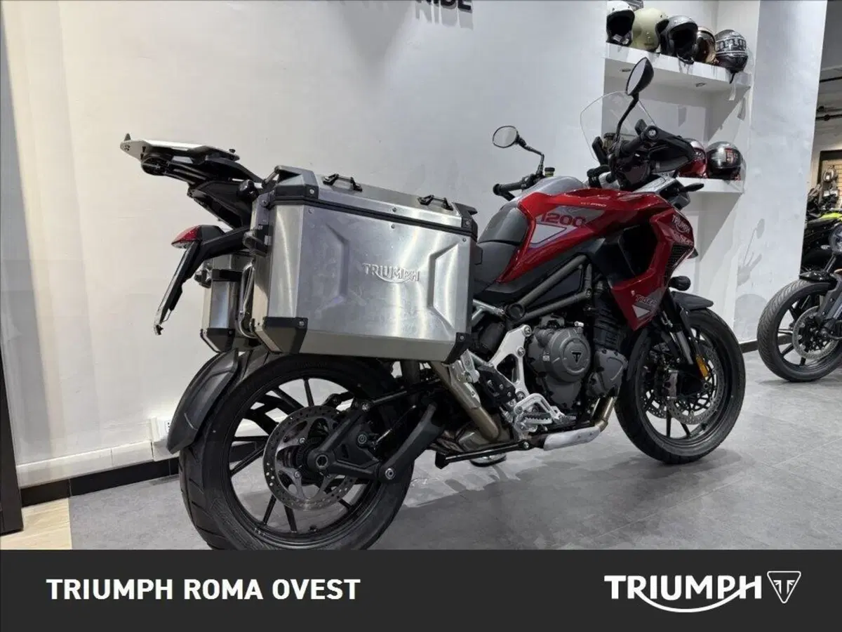Triumph Tiger 1200 GT Pro (2024 - 26) (11)
