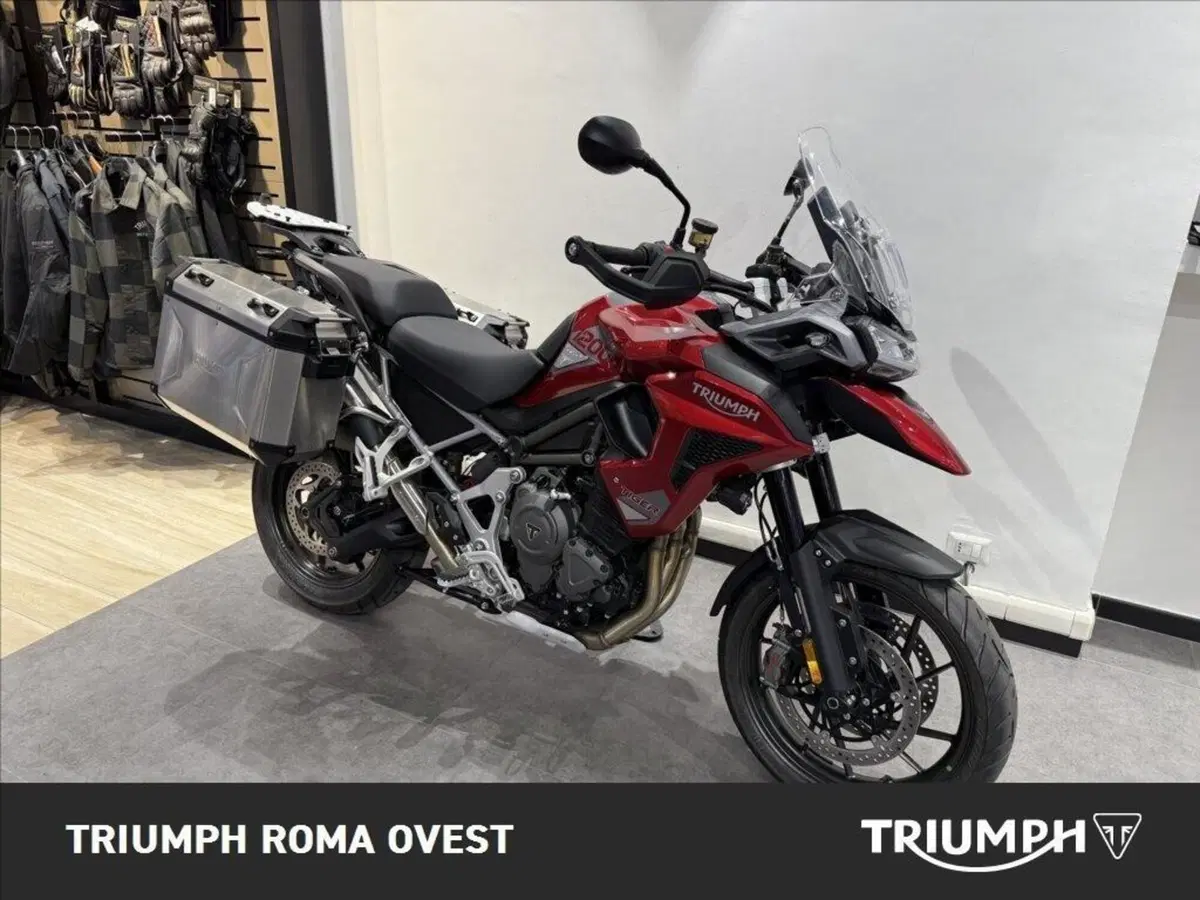 Triumph Tiger 1200 GT Pro (2024 - 26) (8)
