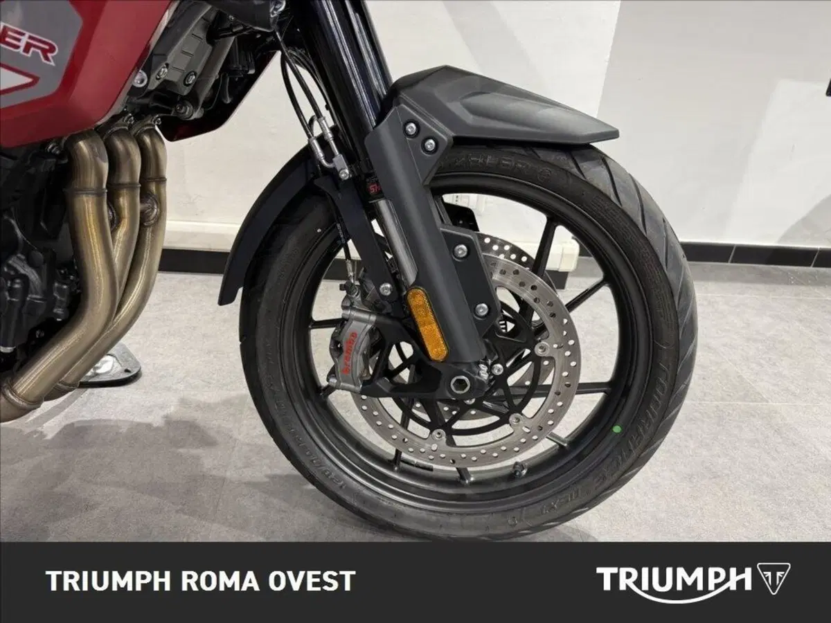 Triumph Tiger 1200 GT Pro (2024 - 26) (15)