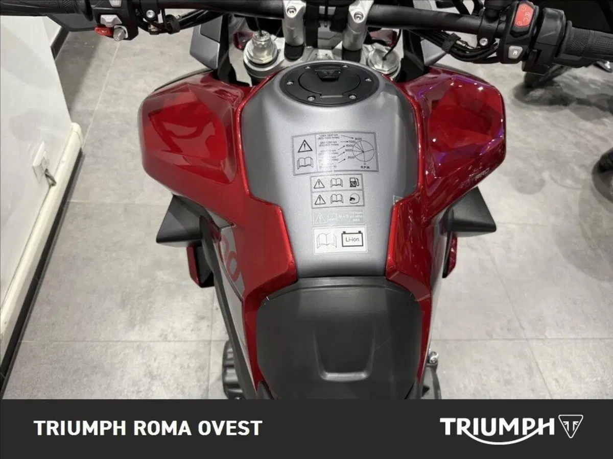 Triumph Tiger 1200 GT Pro (2024 - 26) (19)