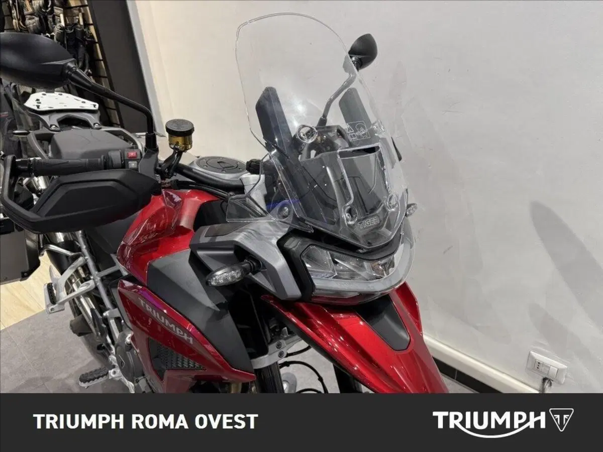 Triumph Tiger 1200 GT Pro (2024 - 26) (16)