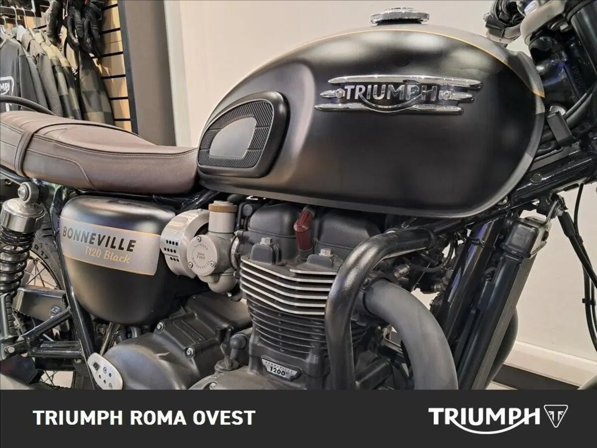 Triumph Bonneville T120 Gold Line Edition (2022 - 23) (6)