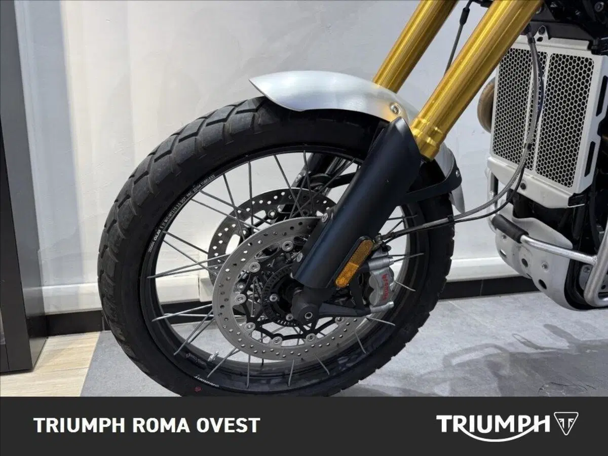 Triumph Scrambler 1200 XE (2021 - 23) (10)