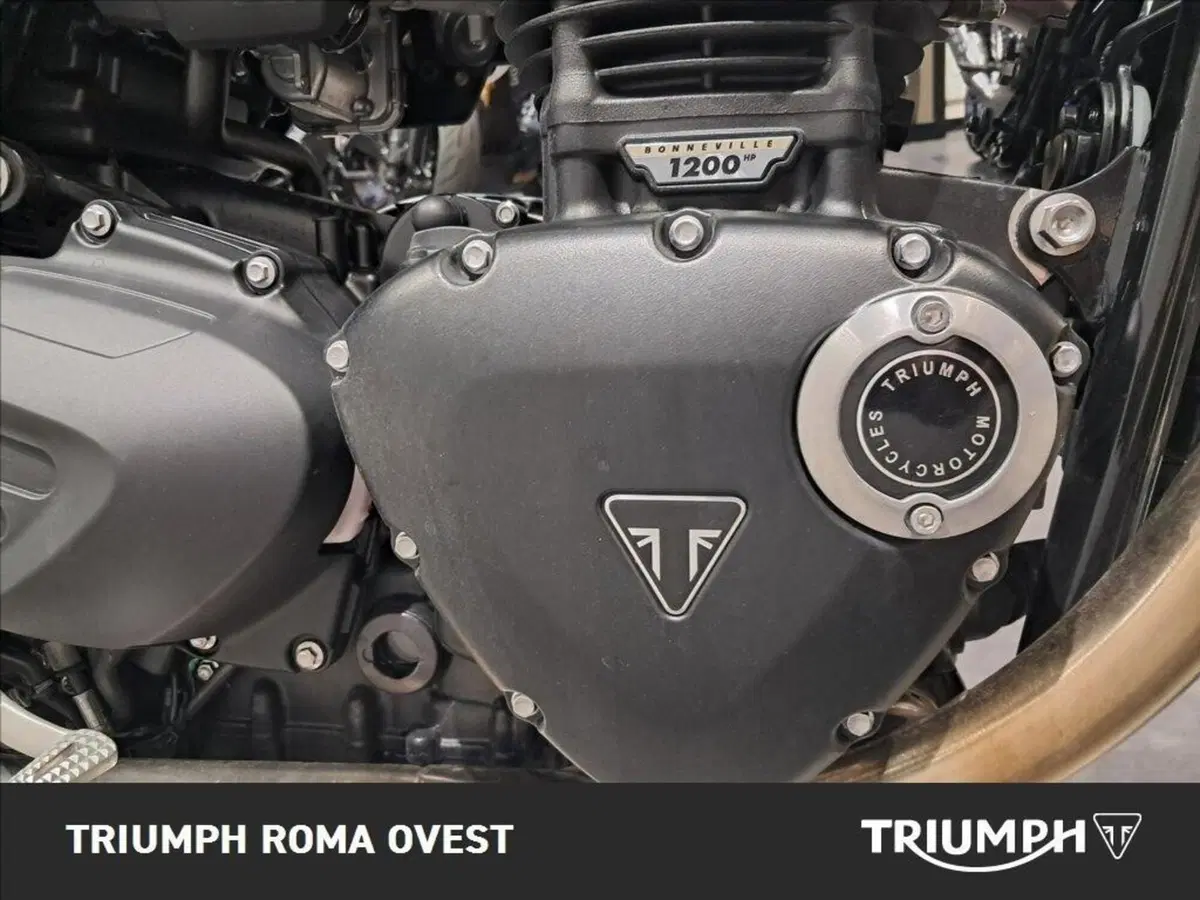Triumph Speed Twin 1200 RS (2025 - 26) (17)