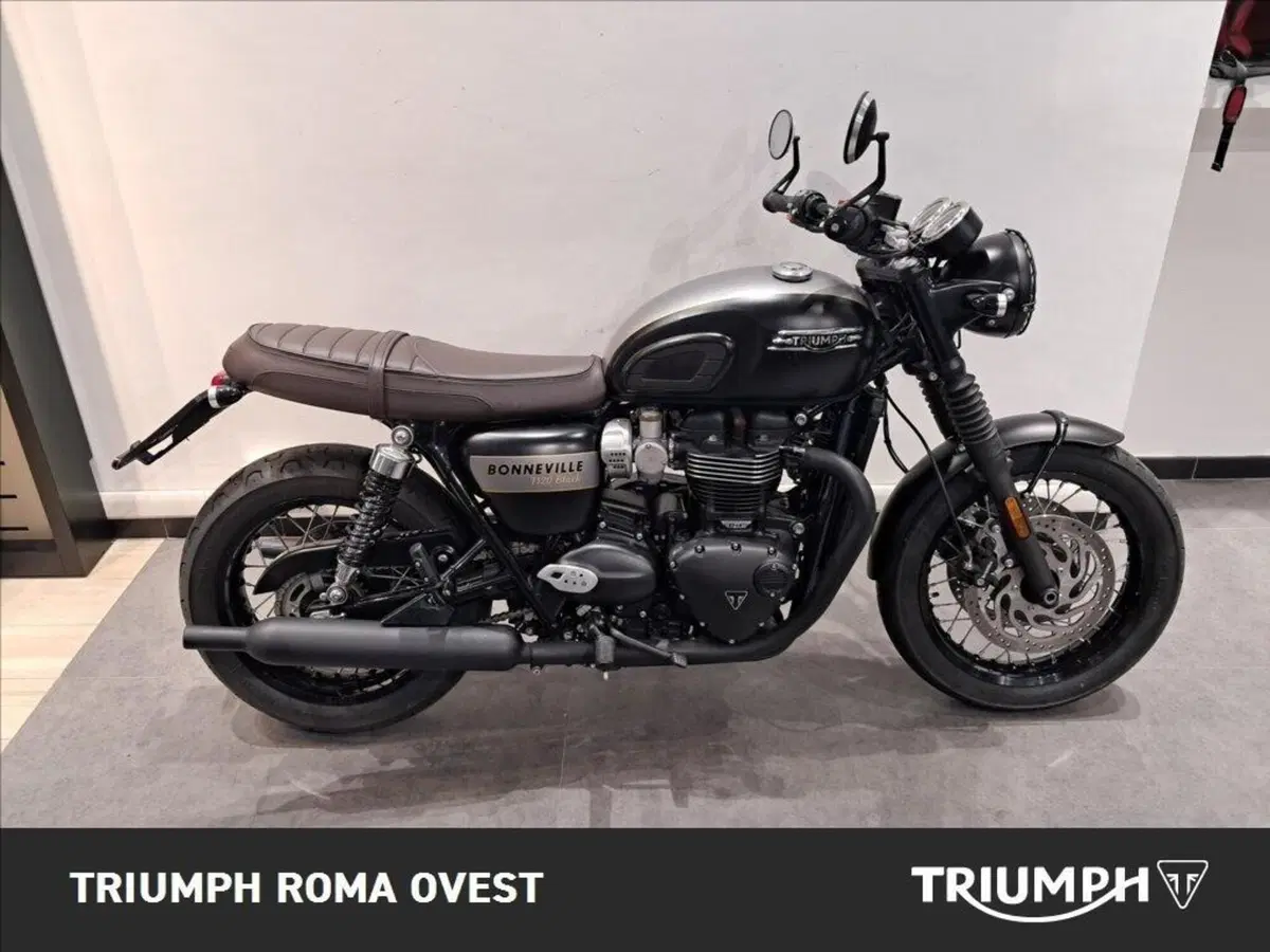Triumph Bonneville T120 Gold Line Edition (2022 - 23) (3)