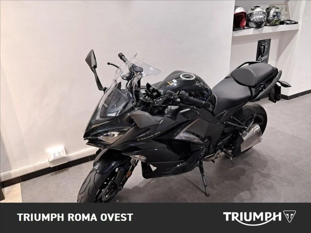 Kawasaki Z 1000 SX (2017 - 20) (11)