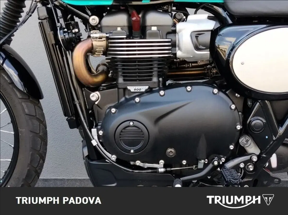 Triumph Scrambler 900 (2023 - 25) (8)