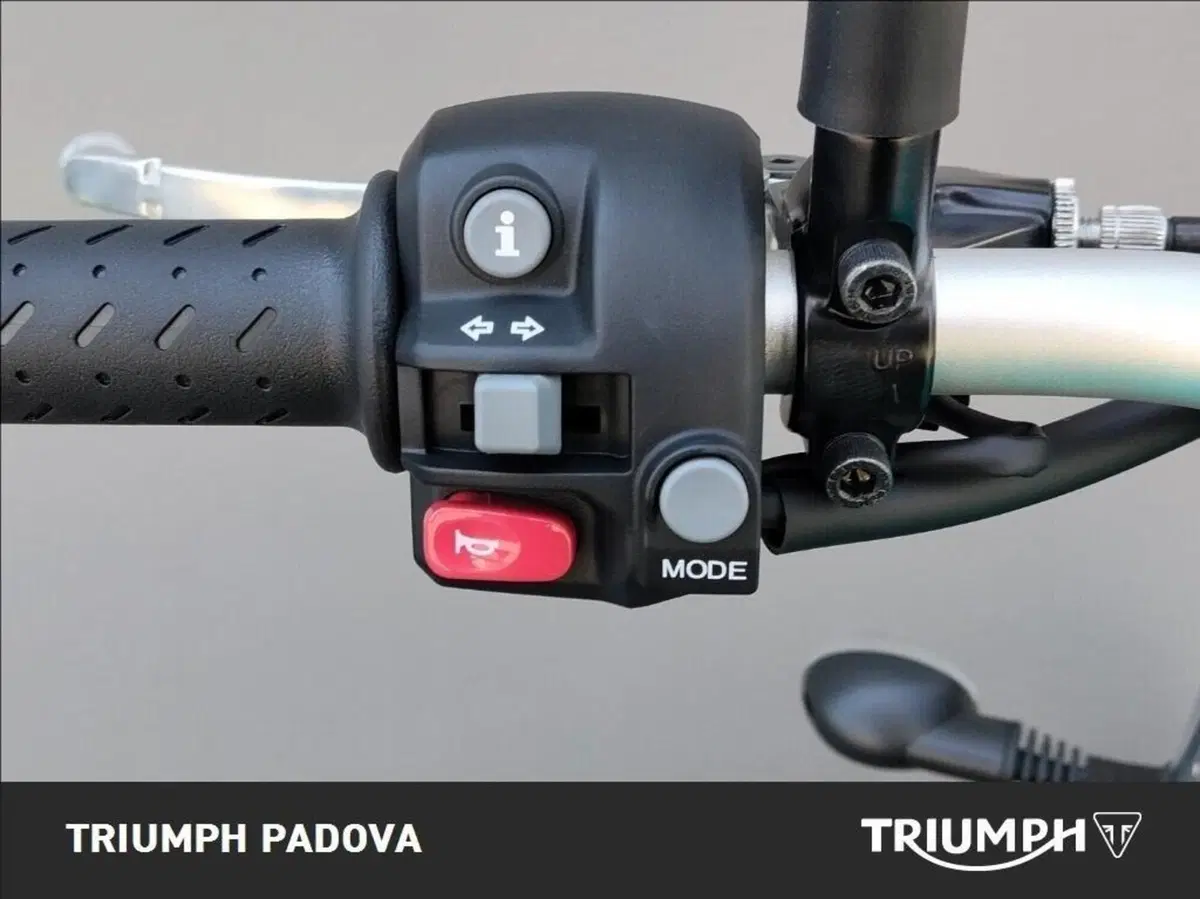Triumph Scrambler 900 (2023 - 25) (12)