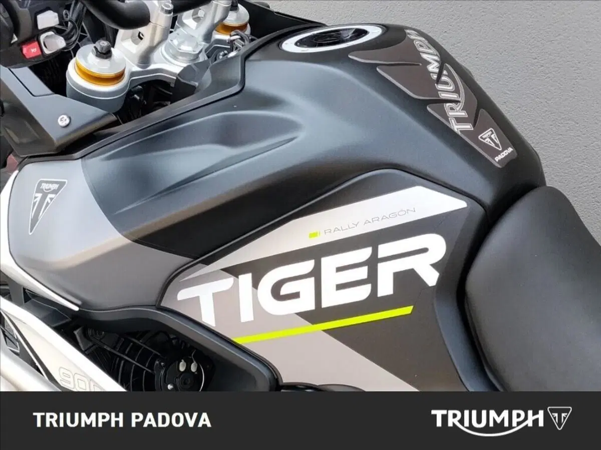 Triumph Tiger 900 Rally Aragón Edition (2023 - 24) (9)