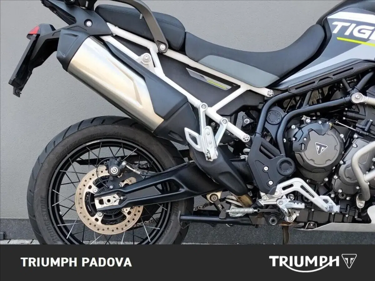 Triumph Tiger 900 Rally Aragón Edition (2023 - 24) (2)
