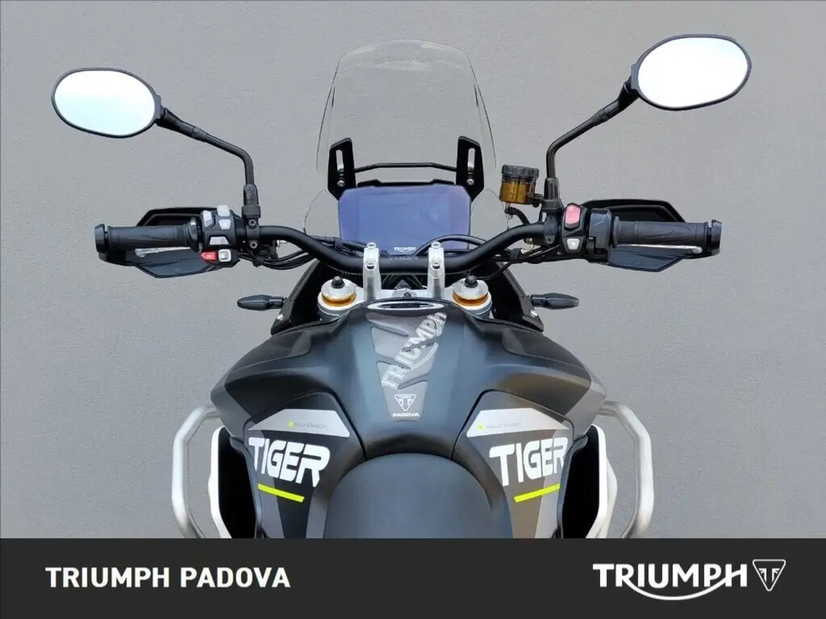 Triumph Tiger 900 Rally Aragón Edition (2023 - 24) (11)