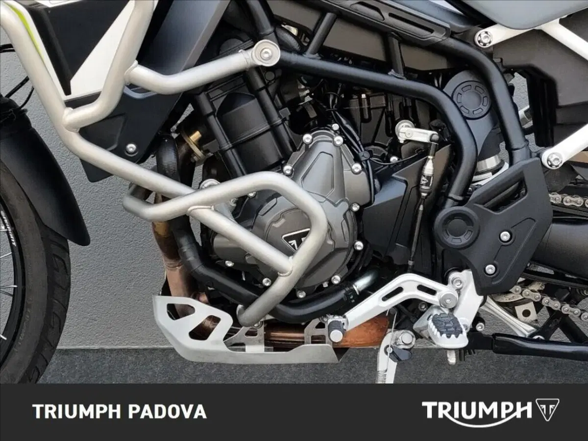 Triumph Tiger 900 Rally Aragón Edition (2023 - 24) (8)