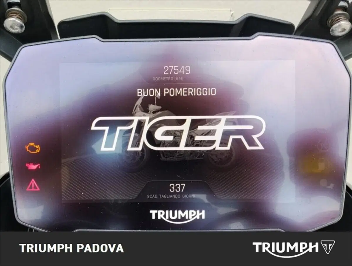 Triumph Tiger 900 Rally Aragón Edition (2023 - 24) (13)