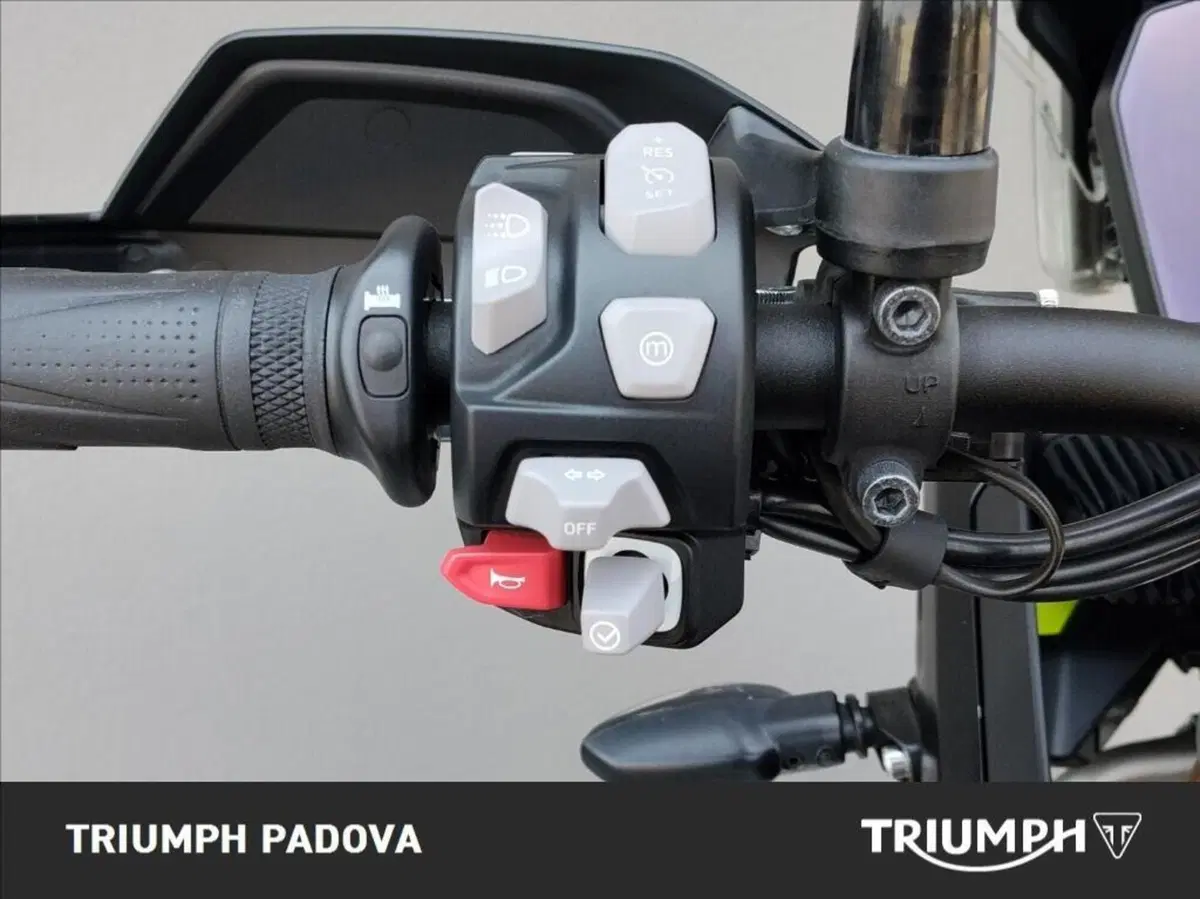 Triumph Tiger 900 Rally Aragón Edition (2023 - 24) (12)