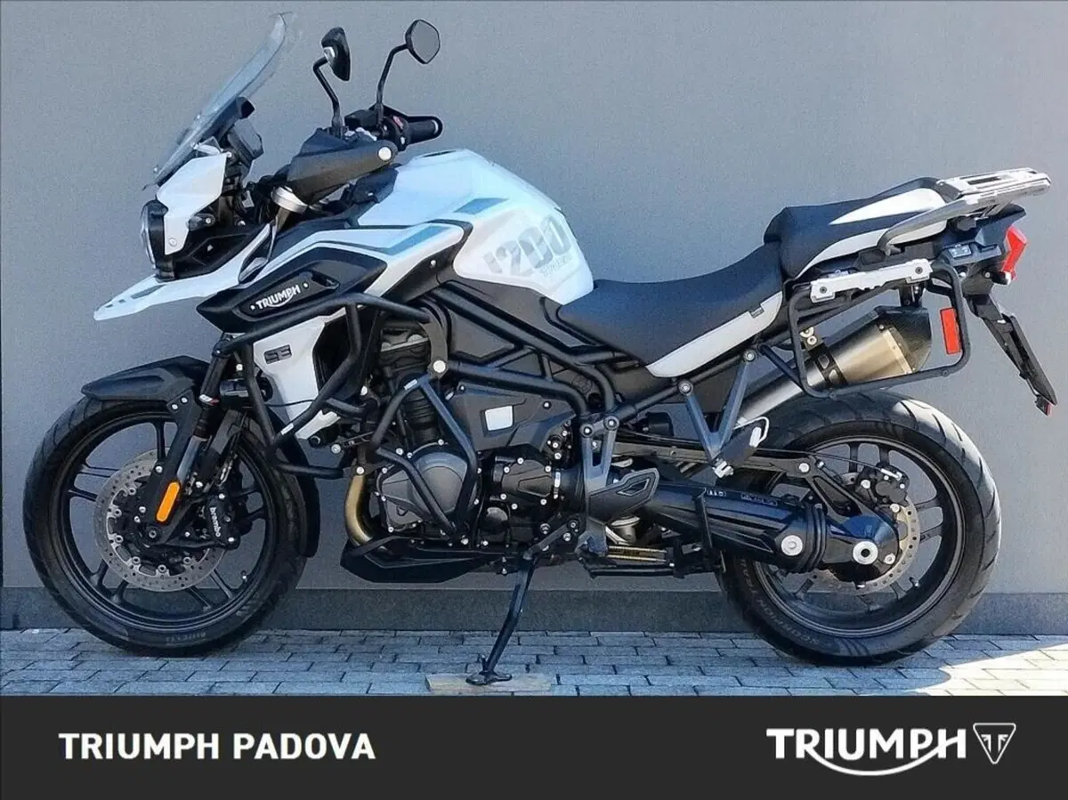 Triumph Tiger 1200 Alpine Edition (2020) (6)