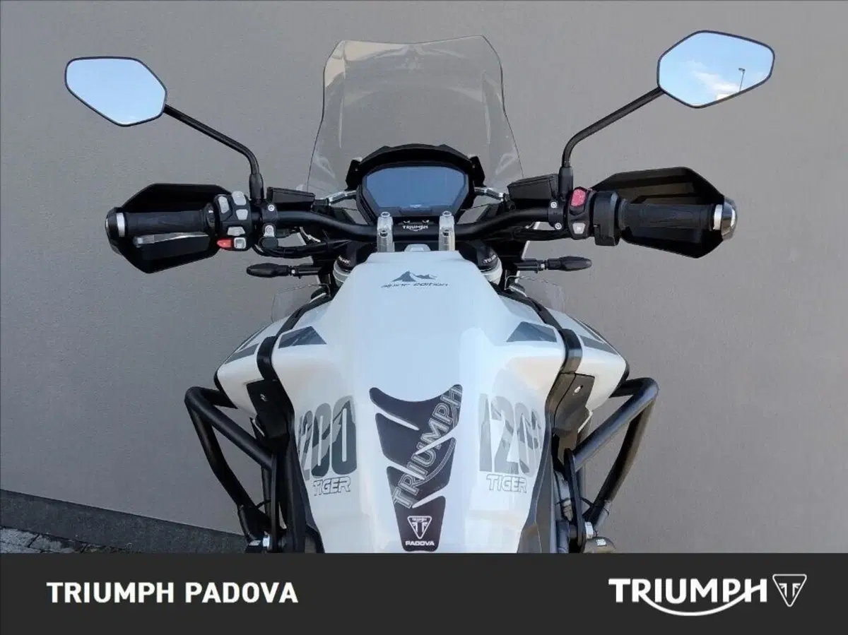 Triumph Tiger 1200 Alpine Edition (2020) (11)