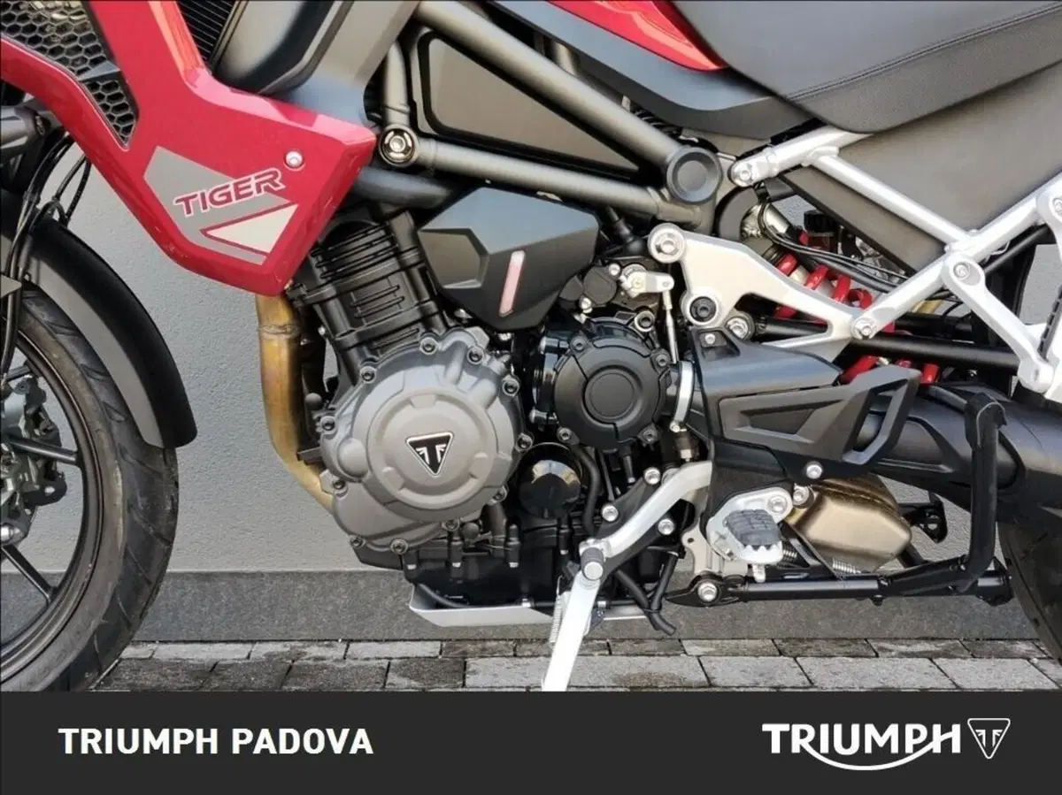 Triumph Tiger 1200 GT Pro (2024 - 26) (8)