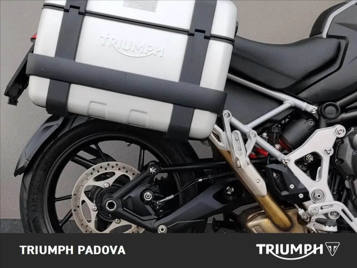 Triumph Tiger 1200 GT Explorer (2022 - 23) (4)
