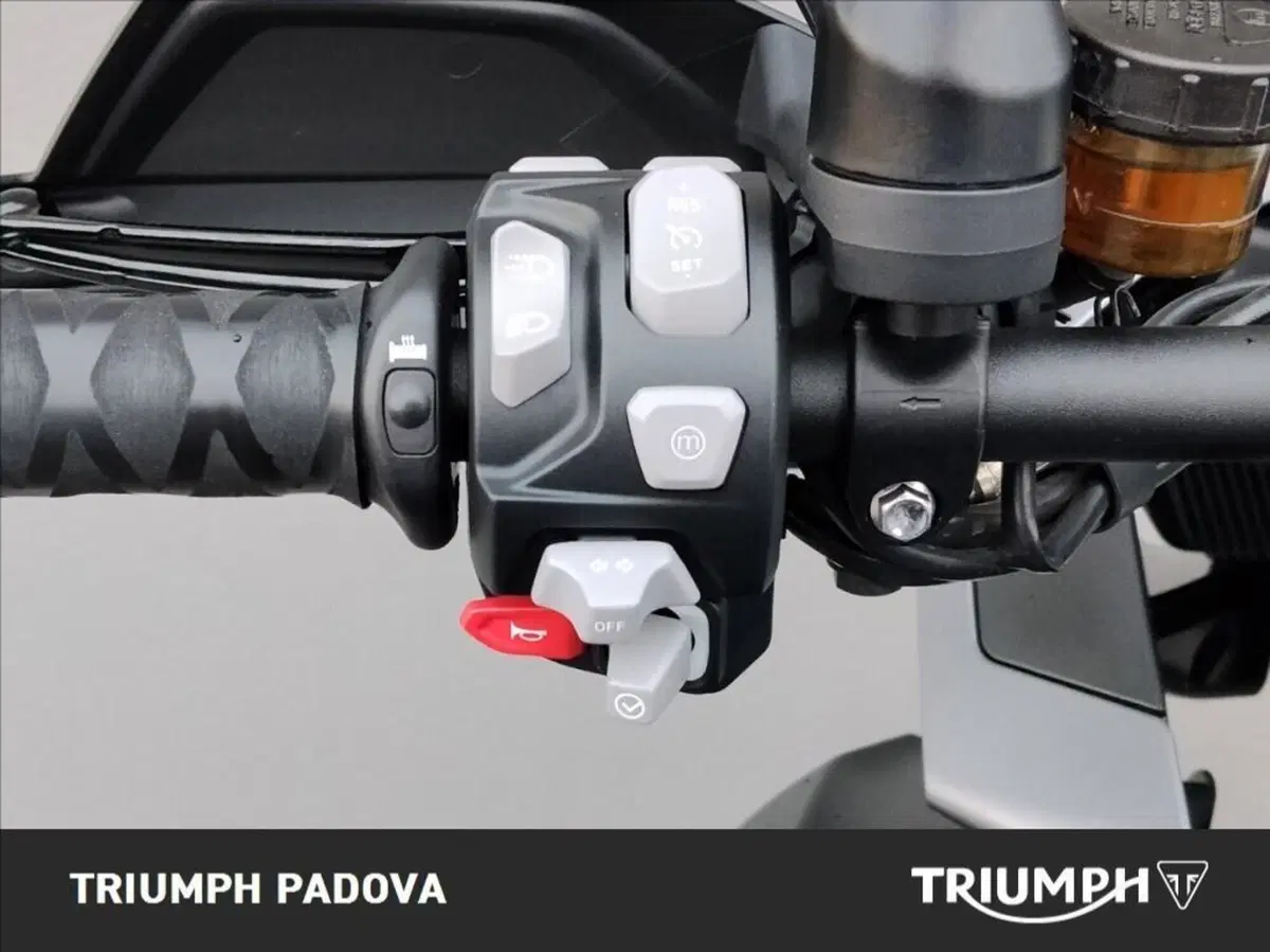 Triumph Tiger 1200 GT Explorer (2022 - 23) (24)