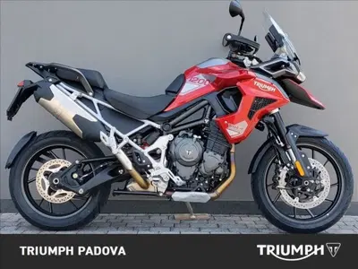 Triumph Tiger 1200 GT Pro (2024 - 26) usata