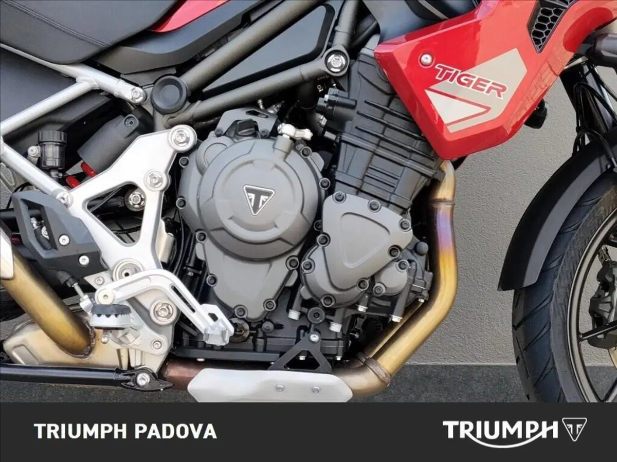 Triumph Tiger 1200 GT Pro (2024 - 26) (3)