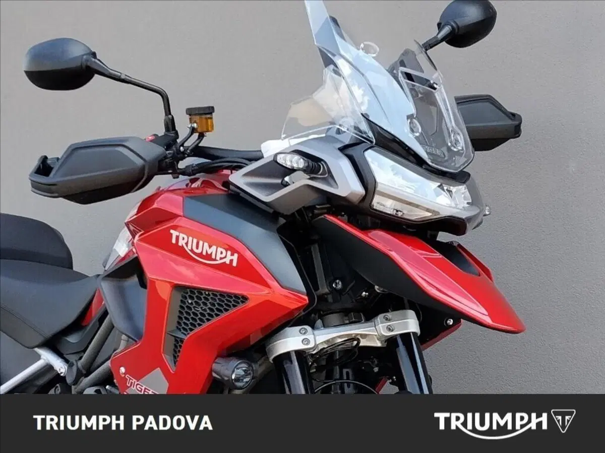Triumph Tiger 1200 GT Pro (2024 - 26) (5)