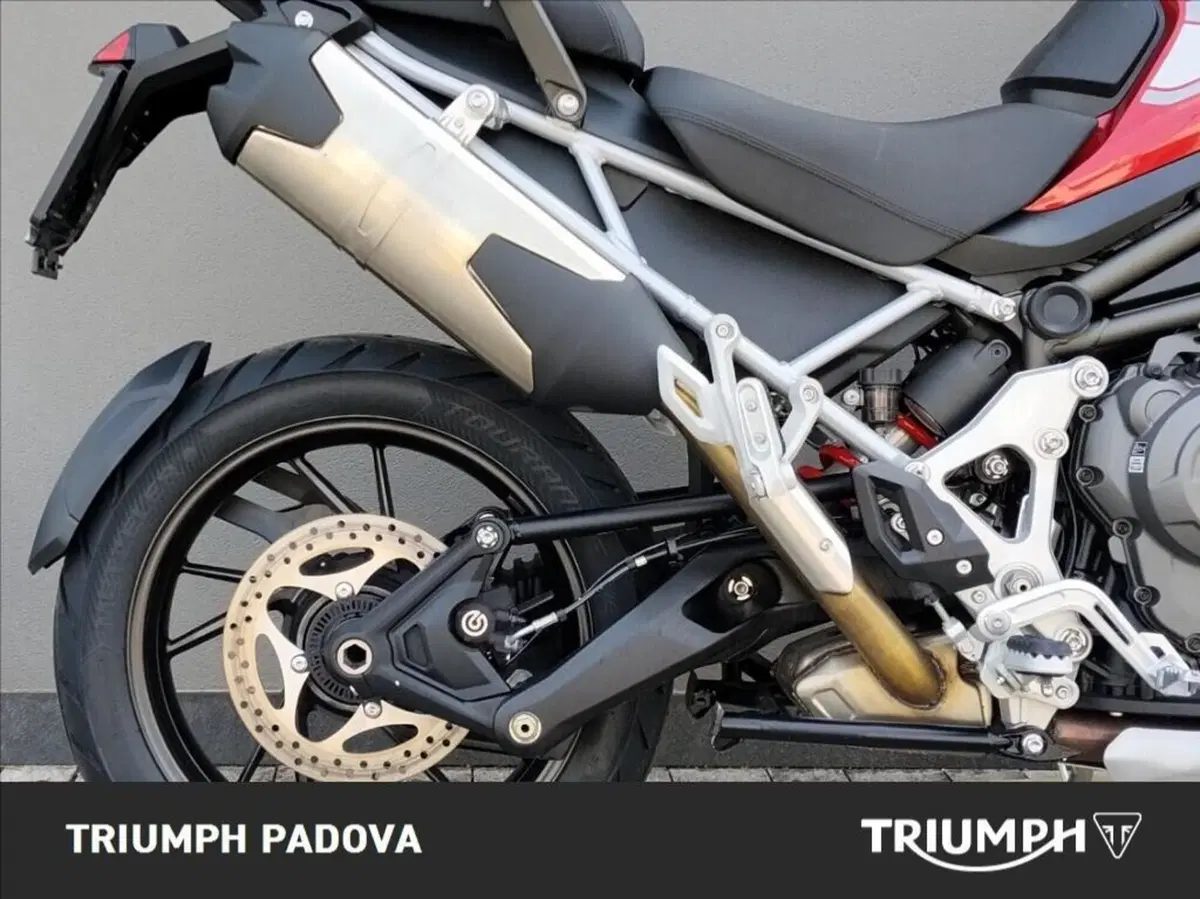 Triumph Tiger 1200 GT Pro (2024 - 26) (2)