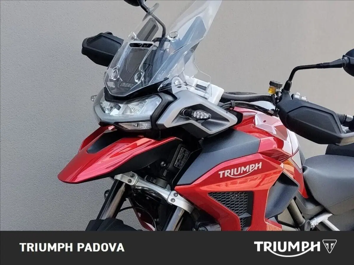 Triumph Tiger 1200 GT Pro (2024 - 26) (10)