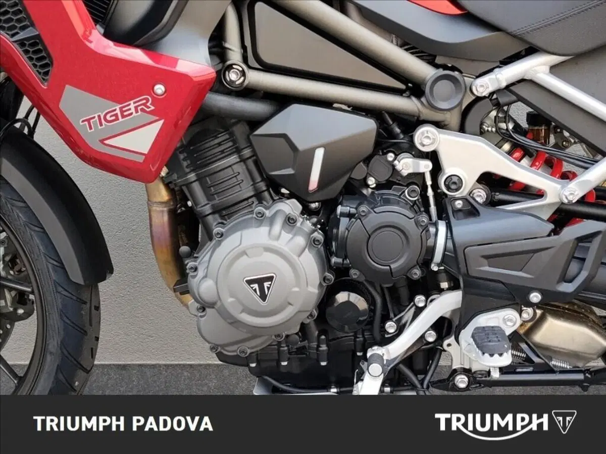 Triumph Tiger 1200 GT Pro (2024 - 26) (8)