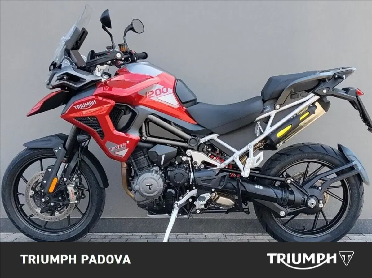 Triumph Tiger 1200 GT Pro (2024 - 26) (6)