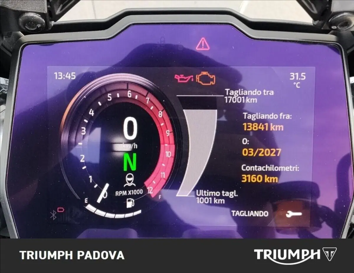 Triumph Tiger 1200 GT Pro (2024 - 26) (13)