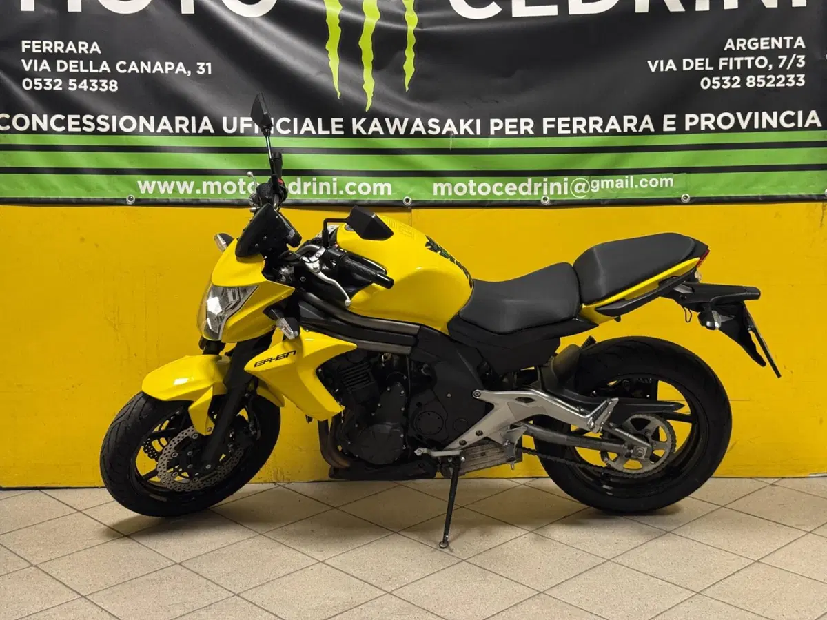 Kawasaki ER-6N (2012 - 13)