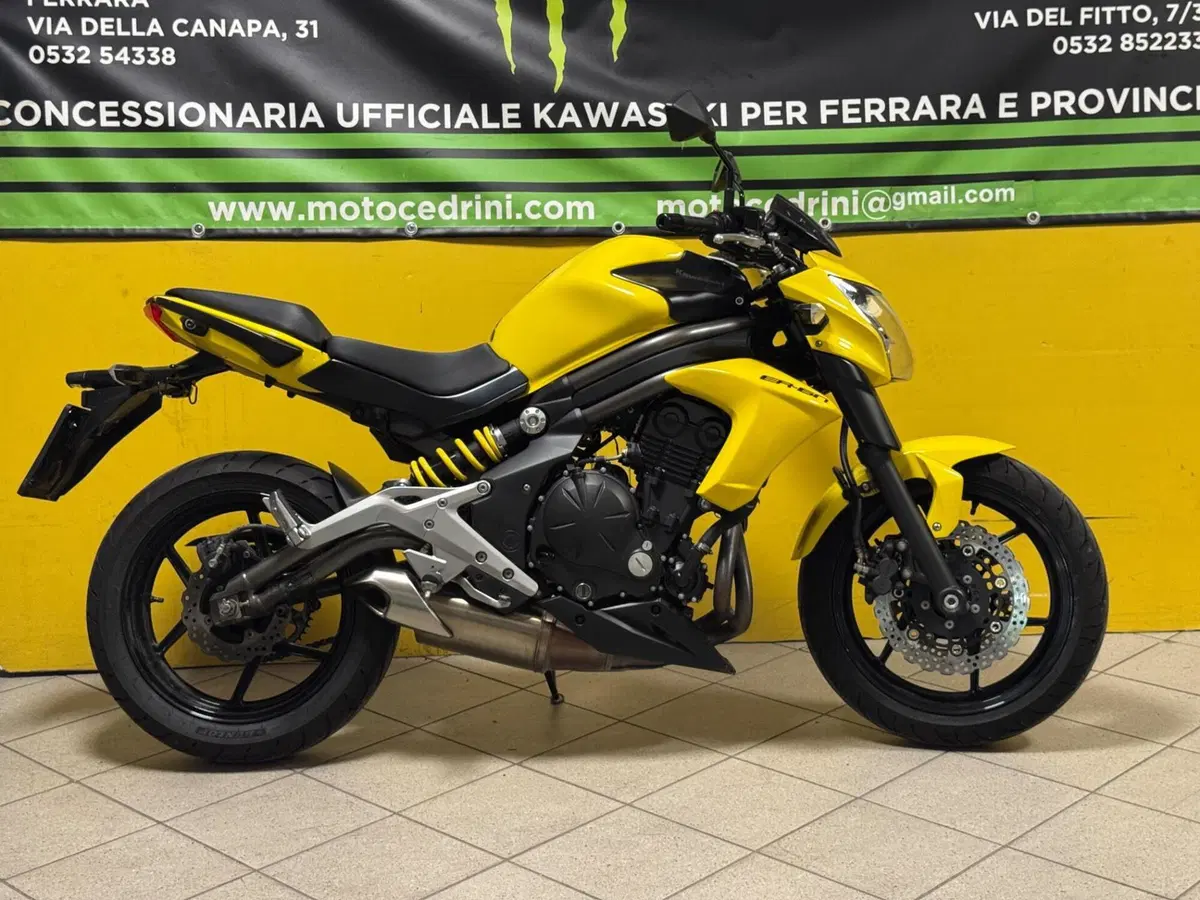 Kawasaki ER-6N (2012 - 13) (3)