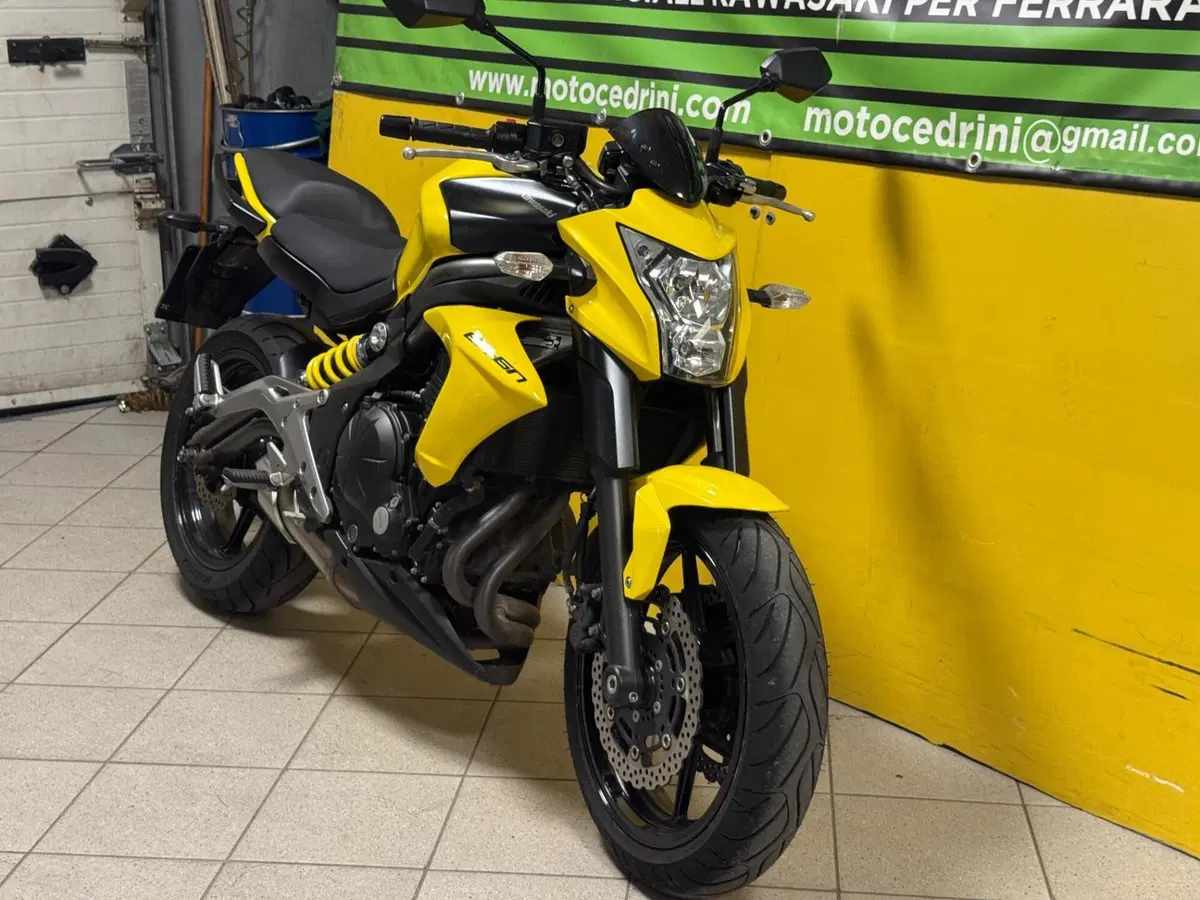 Kawasaki ER-6N (2012 - 13) (4)