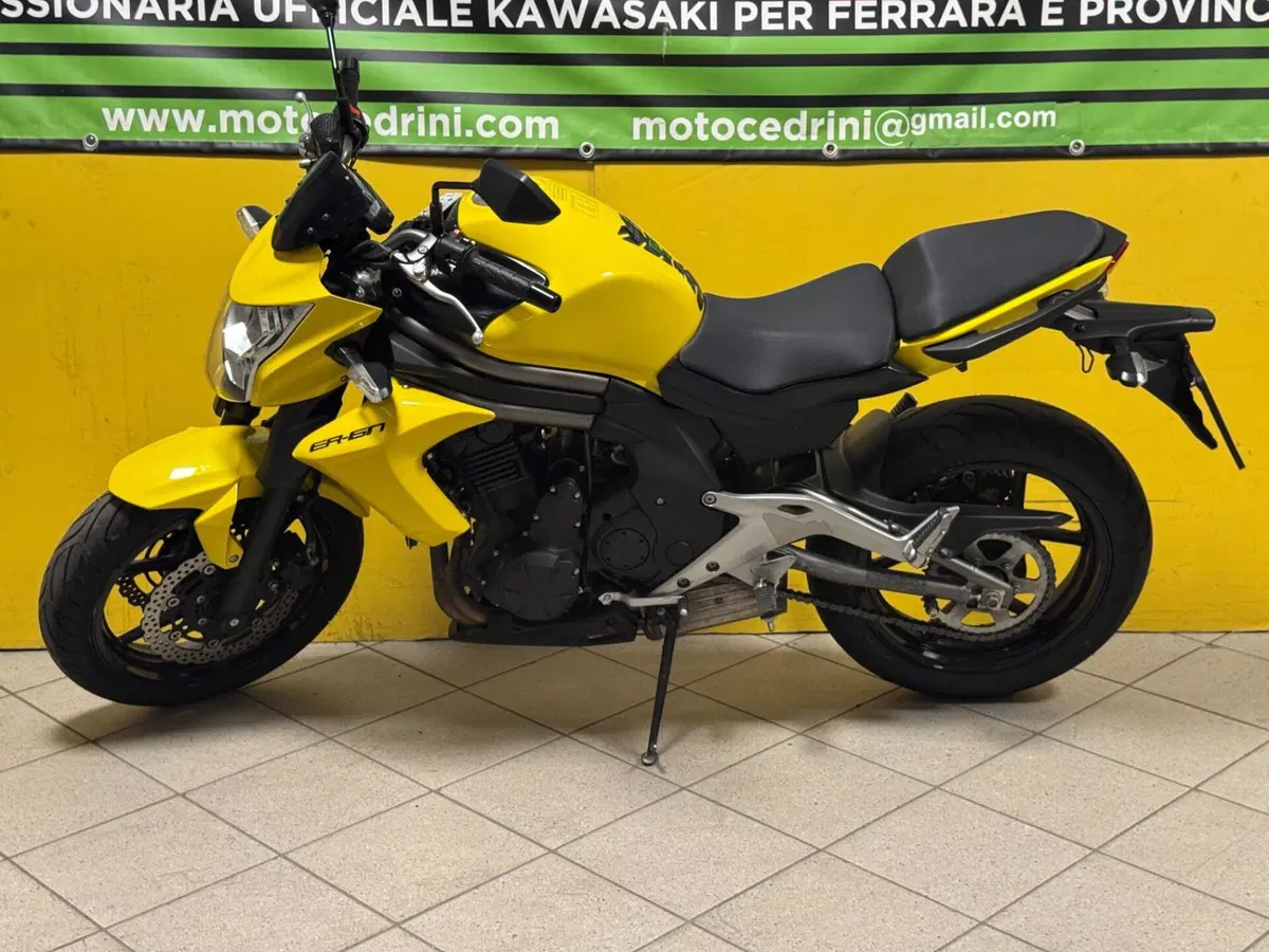 Kawasaki ER-6N (2012 - 13) (5)